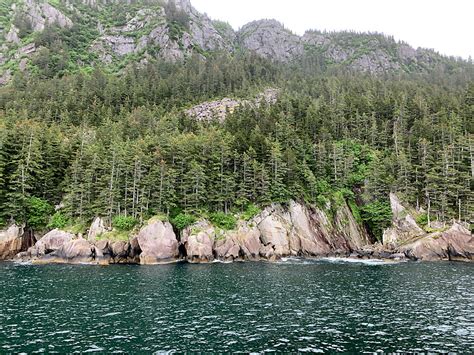 Resurrection Bay Cruise — Storied Traveling