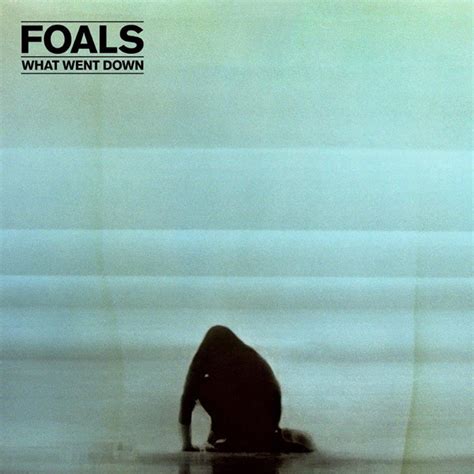 Foals - What Went Down (CD, Album) | Discogs