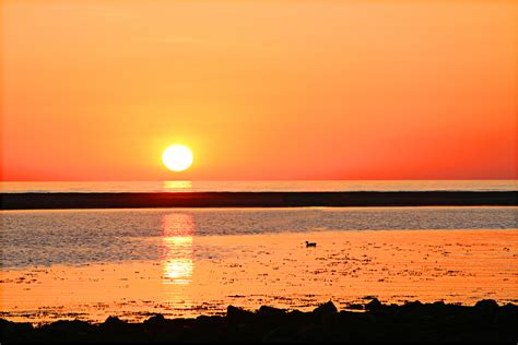 Free Images : beach, sea, coast, ocean, horizon, sun, sunrise, sunset, sunlight, morning, wave ...