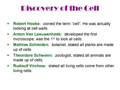 Unit 4 Cells Discovery of the Cell