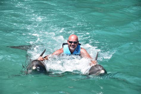 Dolphin Cove - Travel Together Tours JA