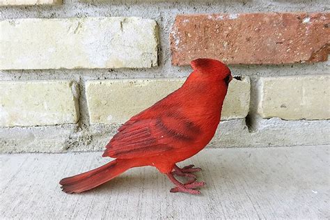 Red Cardinal Bird Garden Statue Resin Yard Ornament Lawn Decor 7 in.T ...