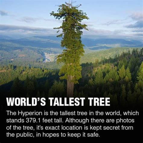 #Pets #Dogs #Cats #Cute | Interesting facts about world, Weird facts, Cool science facts