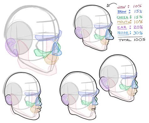 How to Draw Different Types of Heads