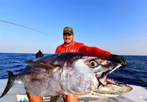 Michael Bonnici lands enormous 101kg dogtooth tuna - Fishing World