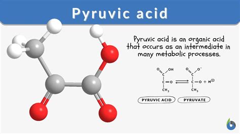 Pyruvic Acid To Lactic Acid