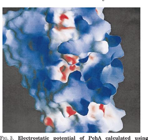 Figure 3 from Crystal Structure of Polygalacturonase from Erwinia carotovora ssp. carotovora ...