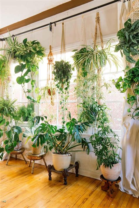 Are These 2018 Design Trends on Your Radar? | Room with plants, Plant decor indoor, Hanging ...