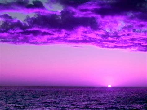 Purple Sunset Photograph by Steed Edwards