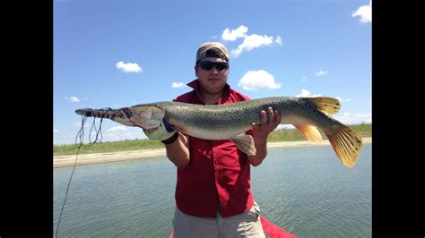 GAR fishing at Falcon Lake - YouTube