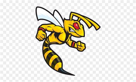 Hornet clipart wasp sting, Hornet wasp sting Transparent FREE for ...