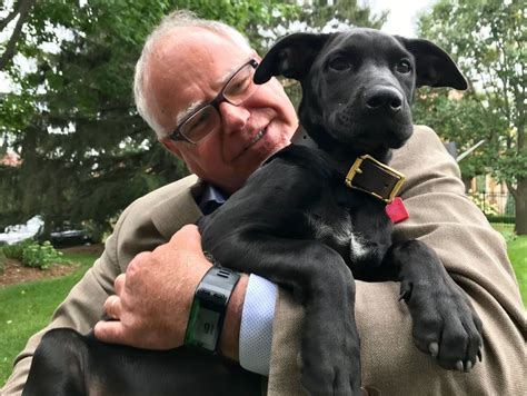 Meet Minnesota’s first puppy, Scout | MPR News