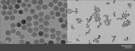 Oleic acid modified Fe3O4 nanoparticles - Ruixibiotech