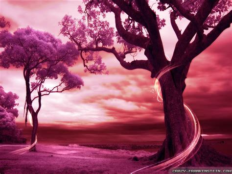 Beautiful Romantic Scenery