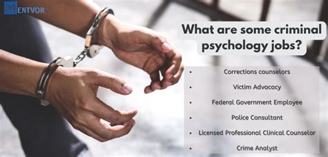 Criminal Psychology Jobs - Mentyor - We Provide the Best Assignment Help | Homework Help Service