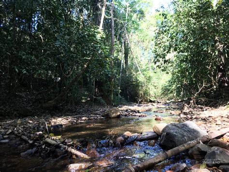 Kaeng Krachan National Park - Wildlife viewing paradise - It's better ...