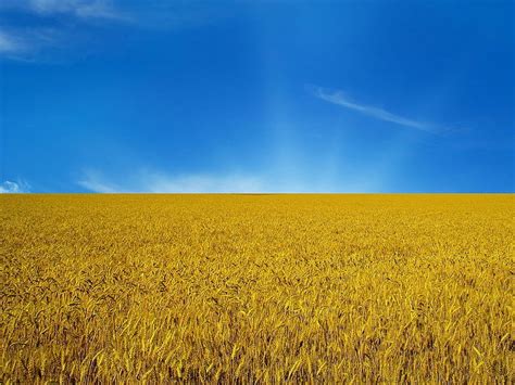 National Ukrainian symbols: origin and meaning, Ukraine Nature HD wallpaper | Pxfuel