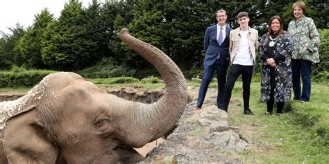 All aboard! Belfast Zoo celebrates ‘elephant angel’ story in local ...