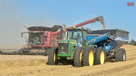 HARVESTING WHEAT Double Cropping Soybeans - YouTube