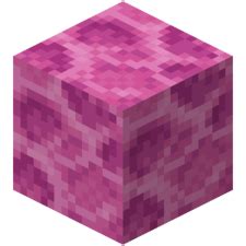 Coral Block – Official Minecraft Wiki