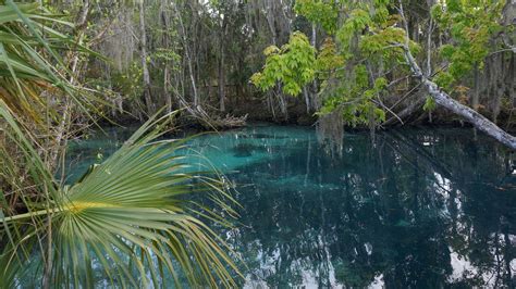 Hiking Crystal River | biking paddling camping | Florida Hikes