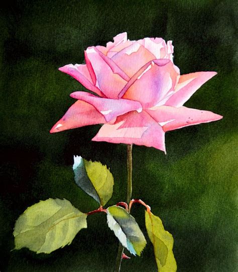 Pink Rose ORIGINAL watercolor painting floral painting pink