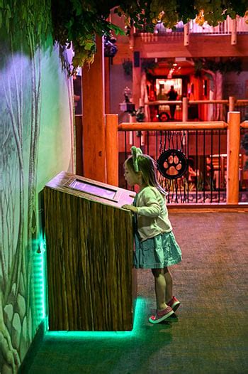 Great Wolf Lodge in Concord and 7 Reasons We Love This Park!