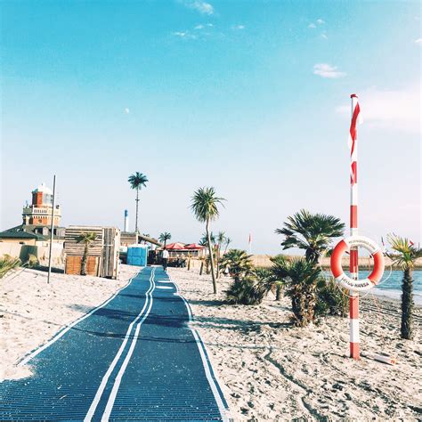 Helsingborgs strand, beach, palms, summer, Sweden, Scandinavia Пляж в Хельсинборге, напоминающий ...