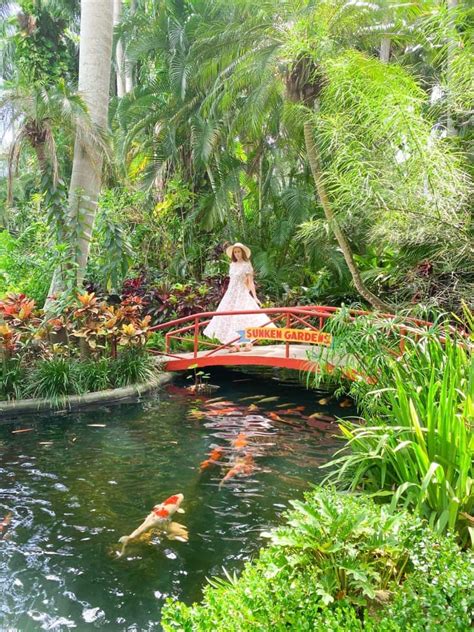 Tips For Visiting The St. Pete Sunken Gardens - Florida Trippers