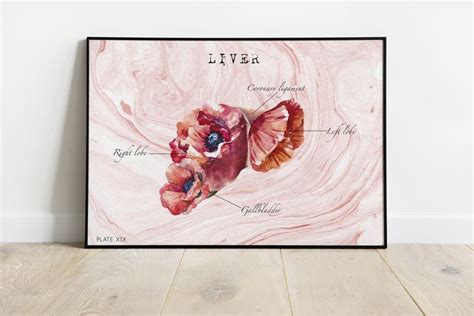 Watercolor Liver Art Print Liver Gifts Hepatology Gifts Liver | Etsy in 2021 | Liver gifts ...