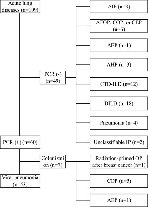 Figure1.Flow chart of the diagnosis. PCR testing was performed using... | Download Scientific ...