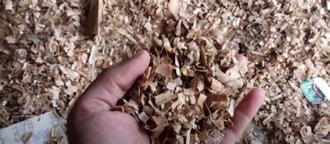 Can You Use Wood Shavings for Cat Litter? (Pros and Cons)