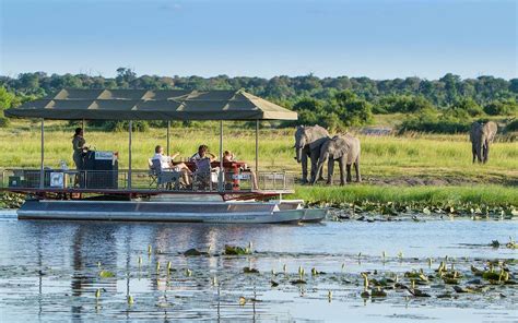 Kakoaka , Chobe National Park, Botswana in 2020 | National park tours, National parks, Boat trips