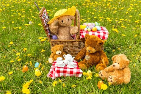 148 Teddy Bears Picnic Photos - Free & Royalty-Free Stock Photos from ...