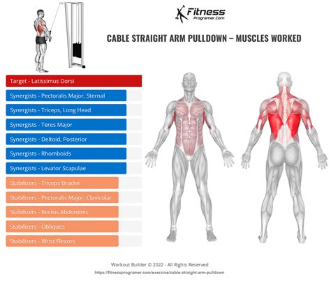 How To Do Cable Straight Arm Pulldown | Muscles Worked