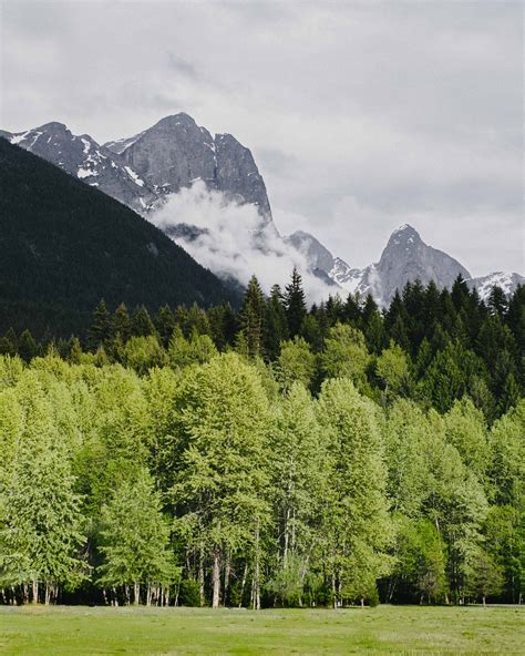 Camping in the Cascades: Exploring Skagit Valley Provincial Park ...