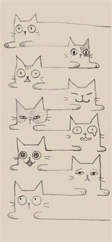 Long cat doodle | Cat drawing, Cat art, Drawings