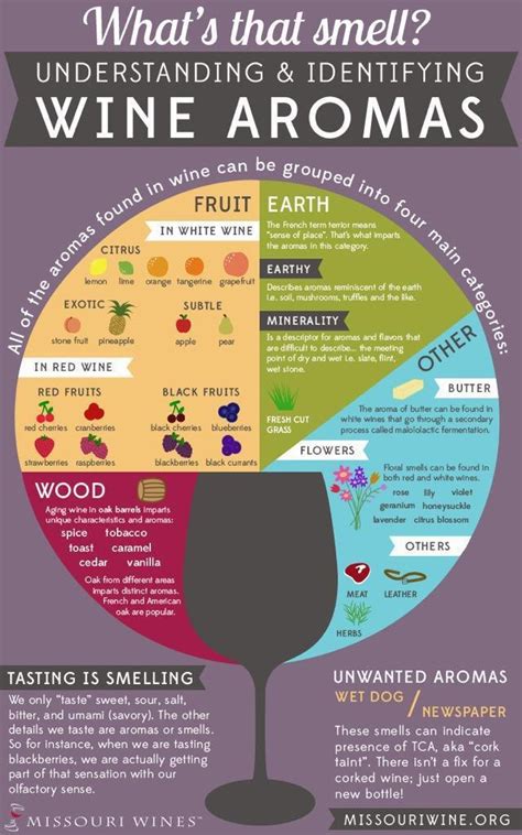 Wine Infographic Poster