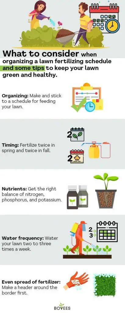 Lawn Fertilizer Schedule + Application Tips For Greener Lawn