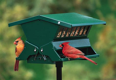 Duncraft.com: Absolute II Squirrel Proof Bird Feeder | Squirrel proof bird feeders, Bird feeders ...