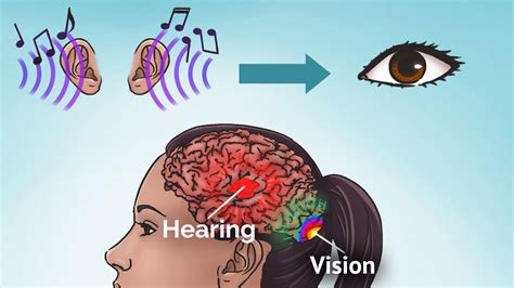 Synesthesia Coactivation of different areas in the brain - Synesthesia ...