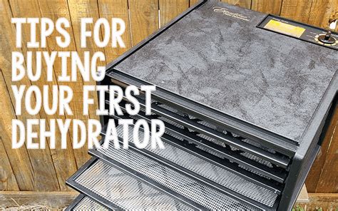 Best Dehydrators for Food Storage - The Purposeful Pantry