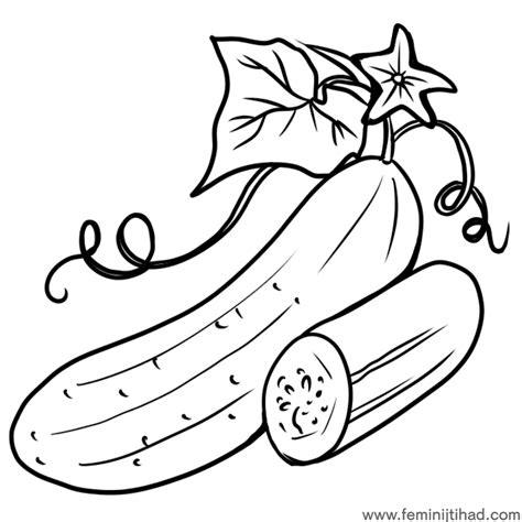 Printable Cucumber Coloring Pages PDf - Coloringfolder.com | Раскраски, Рисование, Рисунки