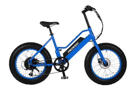 2020 Pedego Element Review