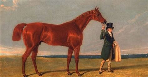 The Narragansett Pacer – the Lost Horse of the New England Colonies ...