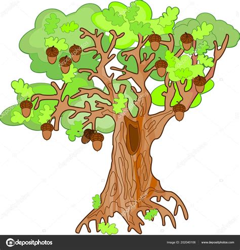 Old Oak Tree Acorns Hollow White Background — Stock Vector © mariaflaya #202040106