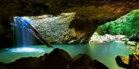 Natural Bridge at Springbrook National Park - Gold Coast Info