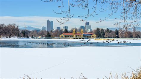 Flights to Denver from $491 | Priceline