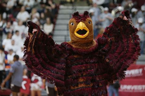 More than a mascot, the St. Joseph’s University Hawk flaps on