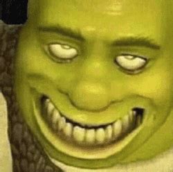 Shrek Meme Funny Look Alike Will Smith GIF | GIFDB.com